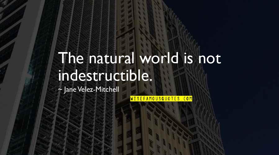 Photobombed By Celebs Quotes By Jane Velez-Mitchell: The natural world is not indestructible. Photobombed By Celebs Quotes By Jane Velez-Mitchell: The natural world is not indestructible.