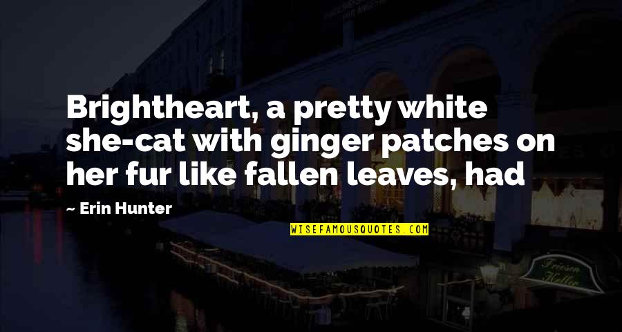 Photocopier Need Crossword Quotes By Erin Hunter: Brightheart, a pretty white she-cat with ginger patches Photocopier Need Crossword Quotes By Erin Hunter: Brightheart, a pretty white she-cat with ginger patches