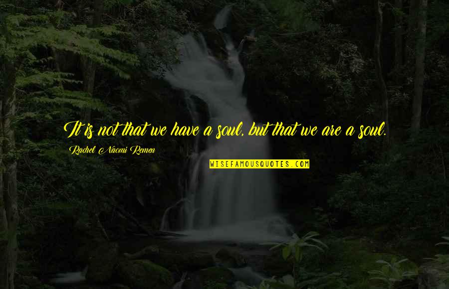 Photocopy Quotes By Rachel Naomi Remen: It is not that we have a soul,