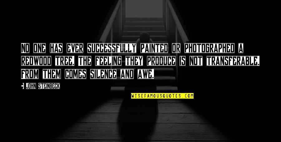 Photographed Quotes By John Steinbeck: No one has ever successfully painted or photographed
