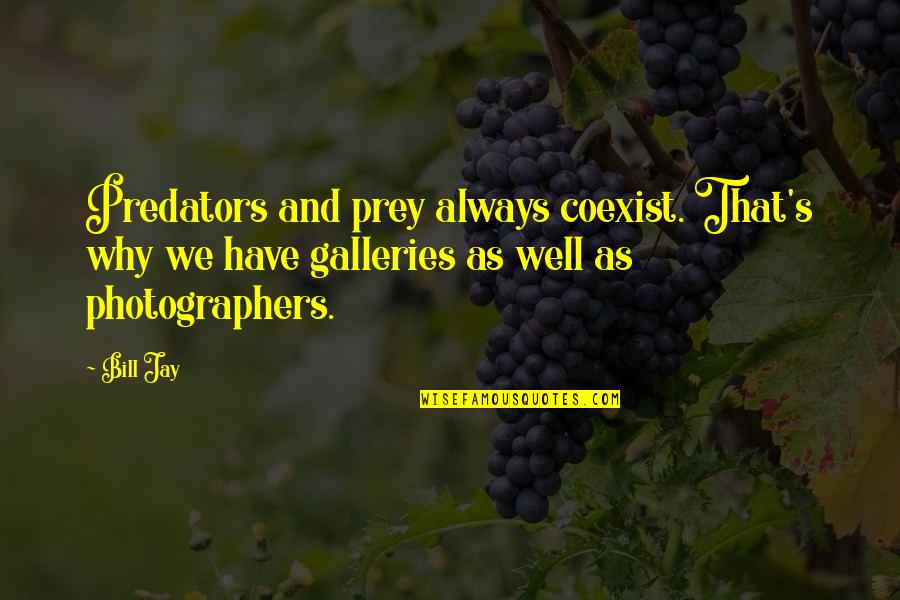 Photographer And Photography Quotes By Bill Jay: Predators and prey always coexist. That's why we Photographer And Photography Quotes By Bill Jay: Predators and prey always coexist. That's why we