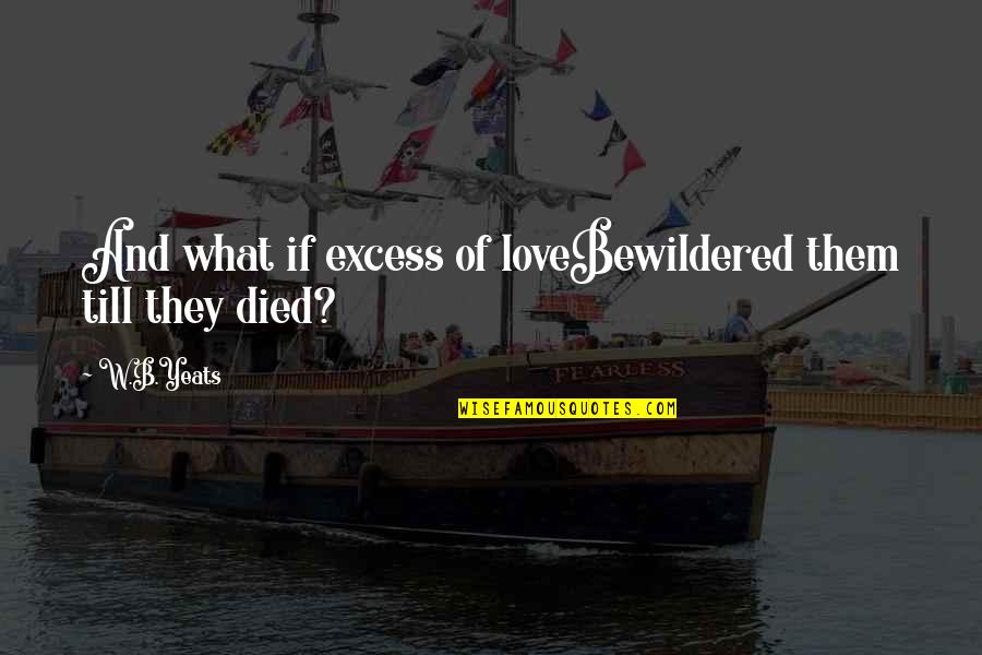 Photography Beginners Quotes By W.B.Yeats: And what if excess of loveBewildered them till