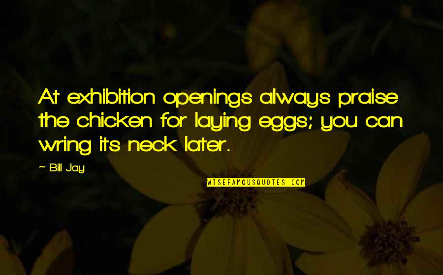 Photography Exhibition Quotes By Bill Jay: At exhibition openings always praise the chicken for