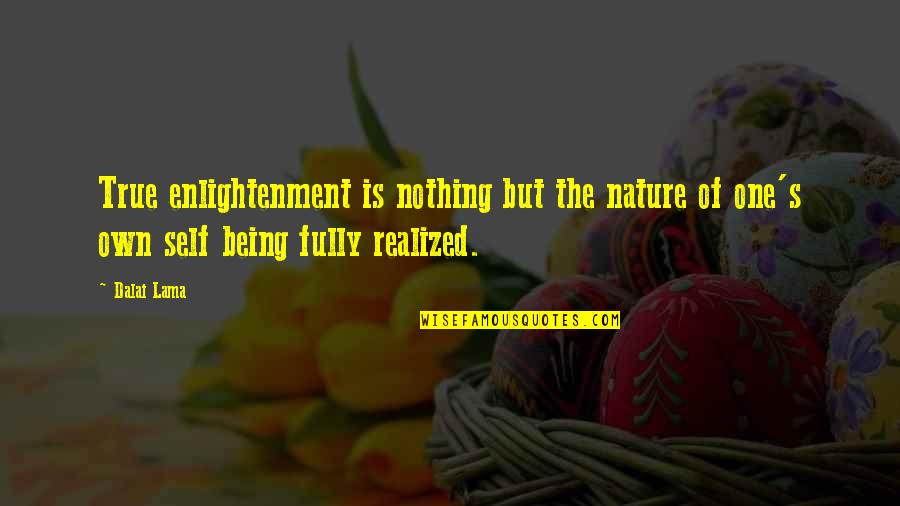 Photography Thesis Quotes By Dalai Lama: True enlightenment is nothing but the nature of
