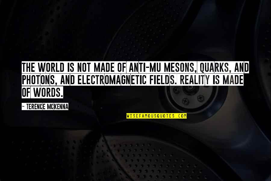 Photons Quotes By Terence McKenna: The world is not made of anti-mu mesons,