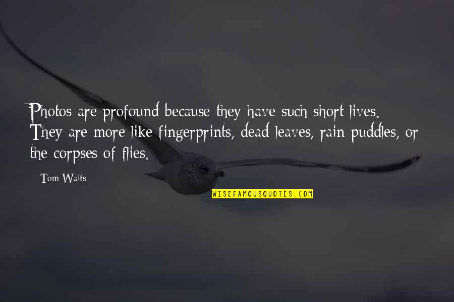 Photos Of Quotes By Tom Waits: Photos are profound because they have such short Photos Of Quotes By Tom Waits: Photos are profound because they have such short