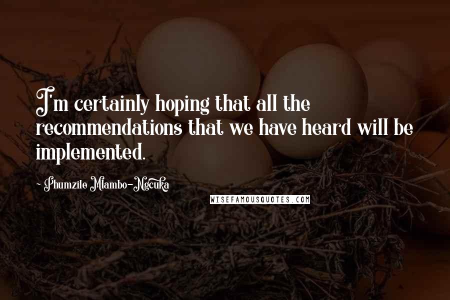 Phumzile Mlambo-Ngcuka quotes: I'm certainly hoping that all the recommendations that we have heard will be implemented.