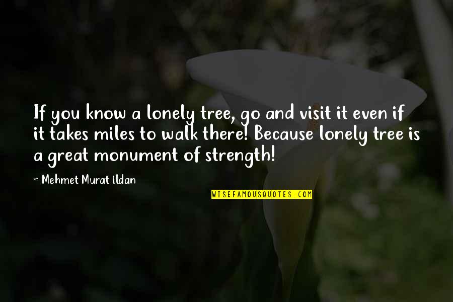 Phuong In The Quiet American Quotes By Mehmet Murat Ildan: If you know a lonely tree, go and