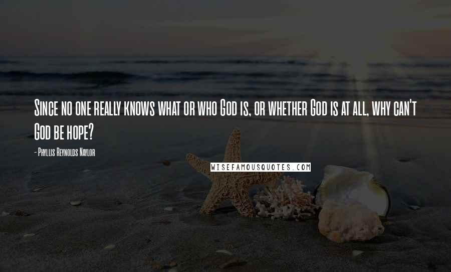 Phyllis Reynolds Naylor quotes: Since no one really knows what or who God is, or whether God is at all, why can't God be hope?