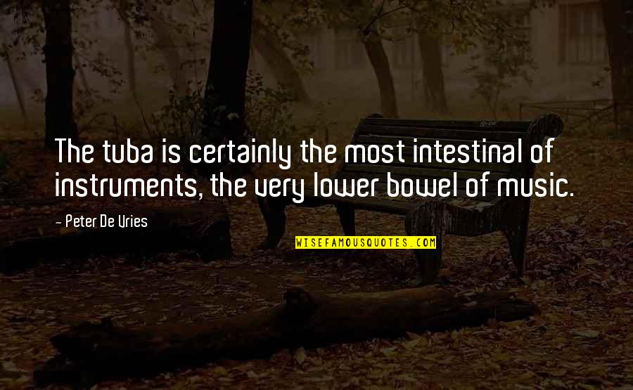 Physical Chemistry Quotes By Peter De Vries: The tuba is certainly the most intestinal of Physical Chemistry Quotes By Peter De Vries: The tuba is certainly the most intestinal of
