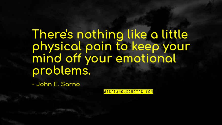Physical Emotional Pain Quotes By John E. Sarno: There's nothing like a little physical pain to