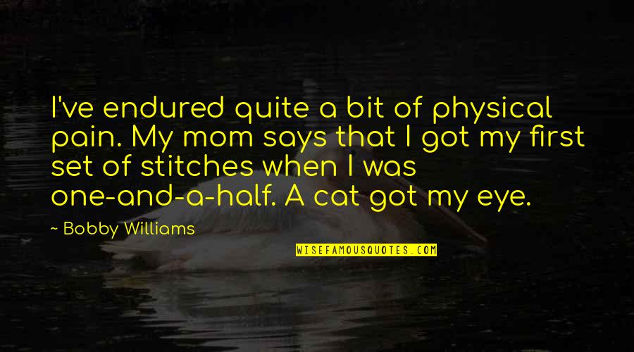 Physical Pain Quotes By Bobby Williams: I've endured quite a bit of physical pain.