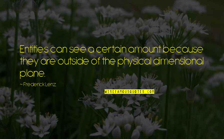 Physical Plane Quotes By Frederick Lenz: Entities can see a certain amount because they