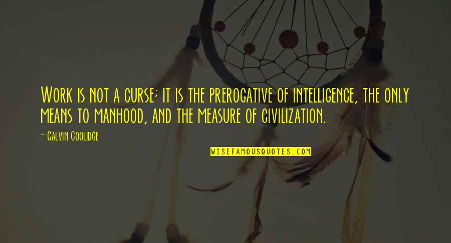 Physicist Life Quotes By Calvin Coolidge: Work is not a curse; it is the Physicist Life Quotes By Calvin Coolidge: Work is not a curse; it is the