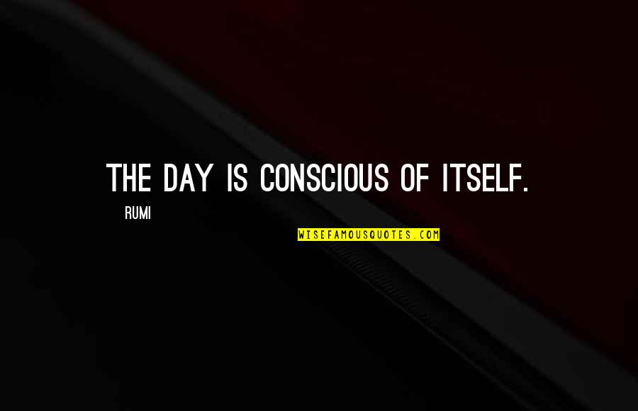 Physiological Needs Quotes By Rumi: The day is conscious of itself.