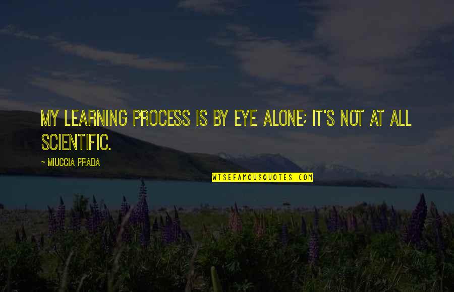 Pi Sigma Epsilon Quotes By Miuccia Prada: My learning process is by eye alone; it's