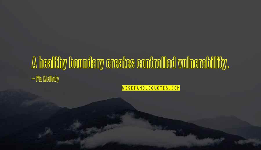 Pia Quotes By Pia Mellody: A healthy boundary creates controlled vulnerability.