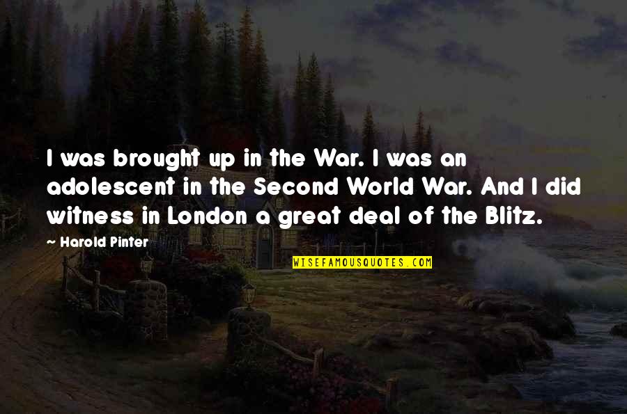 Piaffe Quotes By Harold Pinter: I was brought up in the War. I