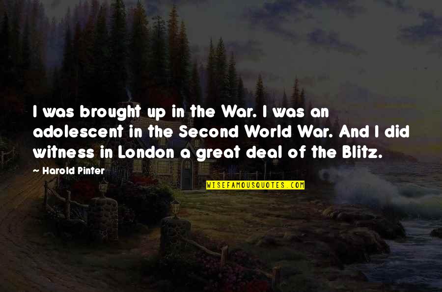 Piaffe Quotes By Harold Pinter: I was brought up in the War. I Piaffe Quotes By Harold Pinter: I was brought up in the War. I