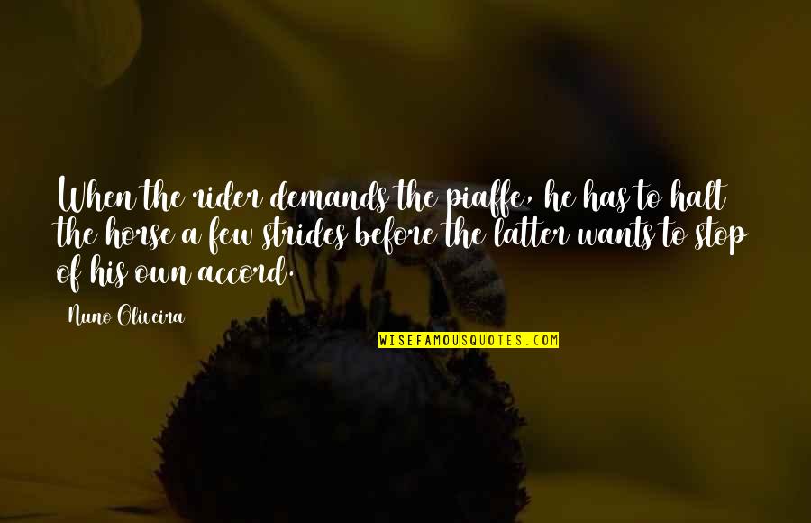 Piaffe Quotes By Nuno Oliveira: When the rider demands the piaffe, he has Piaffe Quotes By Nuno Oliveira: When the rider demands the piaffe, he has