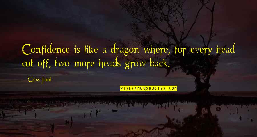 Pianetta Tahoe Quotes By Criss Jami: Confidence is like a dragon where, for every