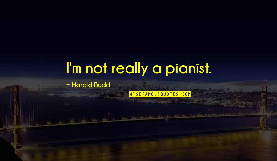 Pianist Quotes By Harold Budd: I'm not really a pianist.