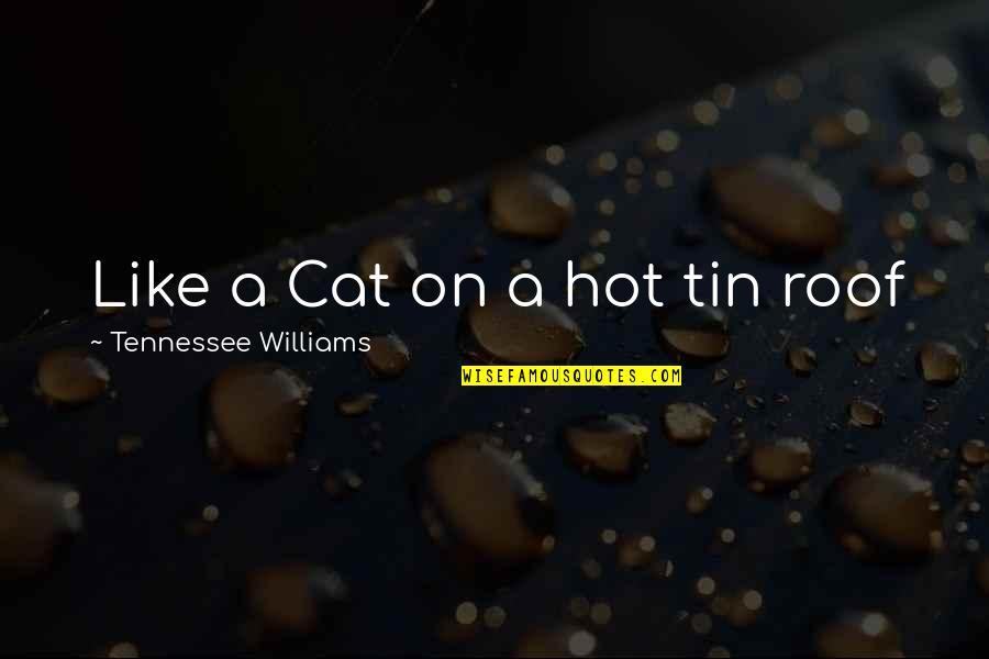 Pianistic Skills Quotes By Tennessee Williams: Like a Cat on a hot tin roof