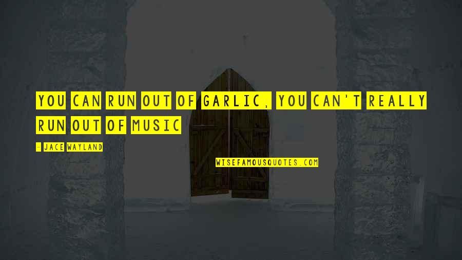 Piano Music Quotes By Jace Wayland: You can run out of garlic, you can't