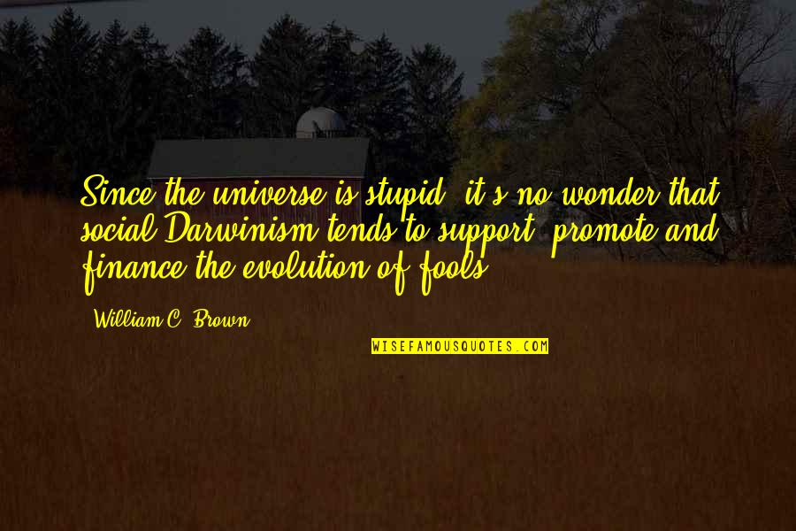 Piattelli Quotes By William C. Brown: Since the universe is stupid, it's no wonder Piattelli Quotes By William C. Brown: Since the universe is stupid, it's no wonder