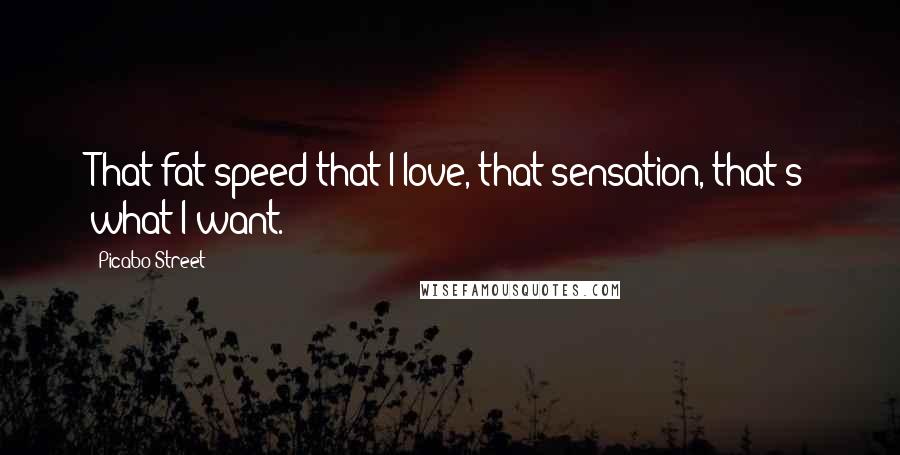 Picabo Street quotes: That fat speed that I love, that sensation, that's what I want.