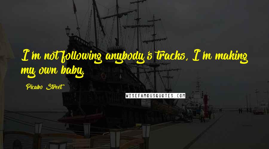 Picabo Street quotes: I'm not following anybody's tracks, I'm making my own baby.