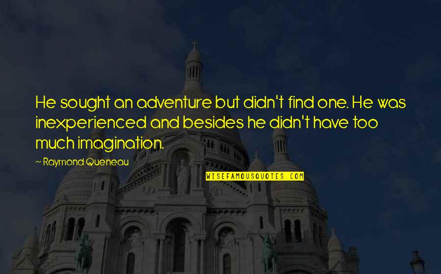 Picameters Quotes By Raymond Queneau: He sought an adventure but didn't find one.