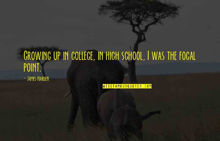 Picarello Restaurant Quotes By James Harden: Growing up in college, in high school, I