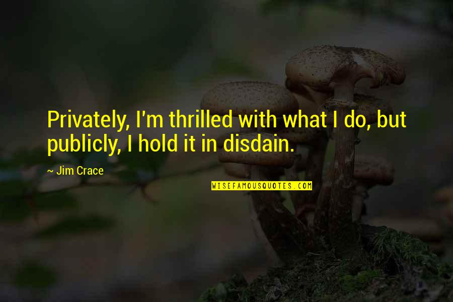 Picciotto Setton Quotes By Jim Crace: Privately, I'm thrilled with what I do, but