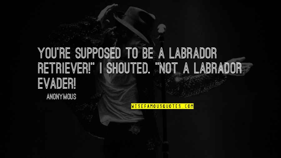 Piccole Piscine Quotes By Anonymous: You're supposed to be a Labrador retriever!" I