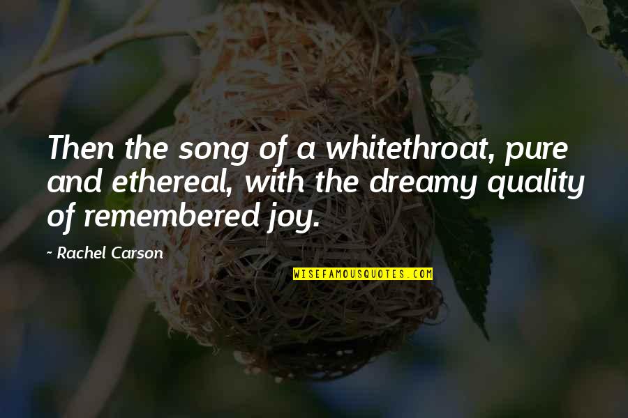 Pichler Modellbau Quotes By Rachel Carson: Then the song of a whitethroat, pure and