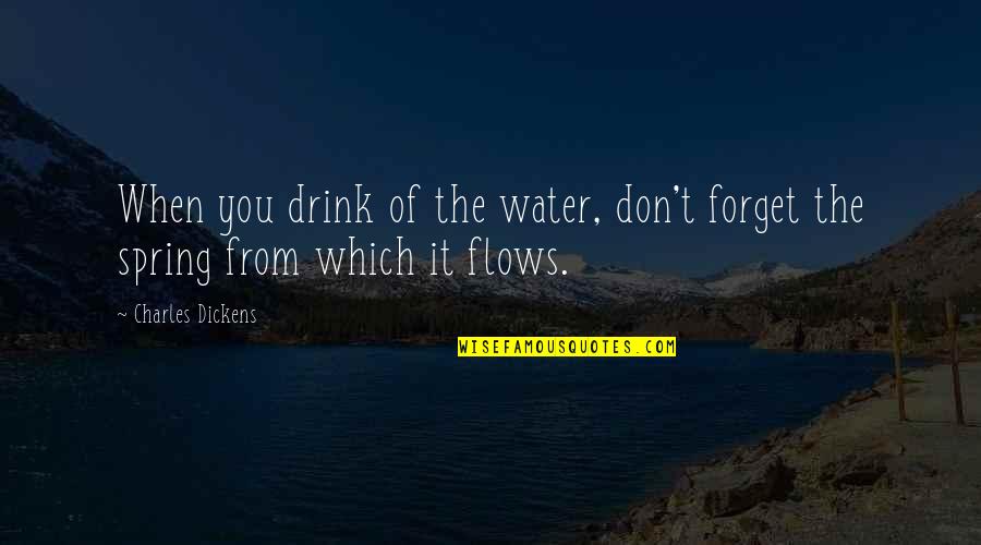 Pick Me Up Motivational Quotes By Charles Dickens: When you drink of the water, don't forget