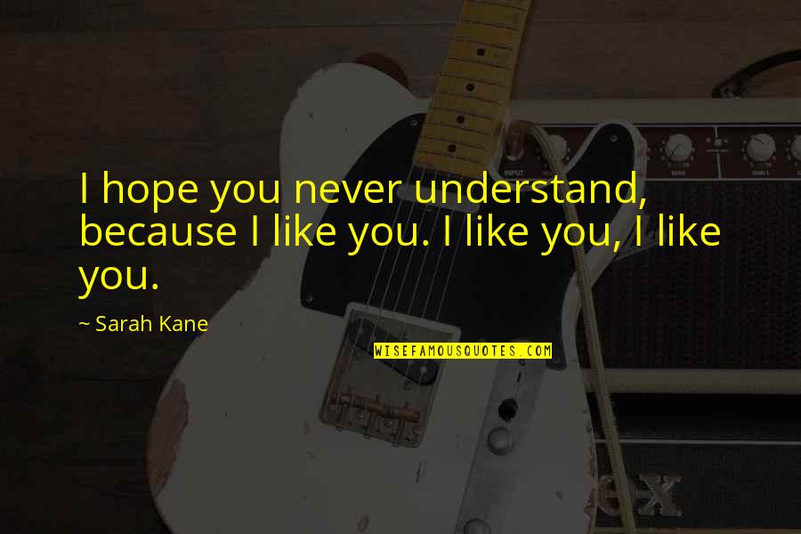 Pickaxe Enchantments Quotes By Sarah Kane: I hope you never understand, because I like
