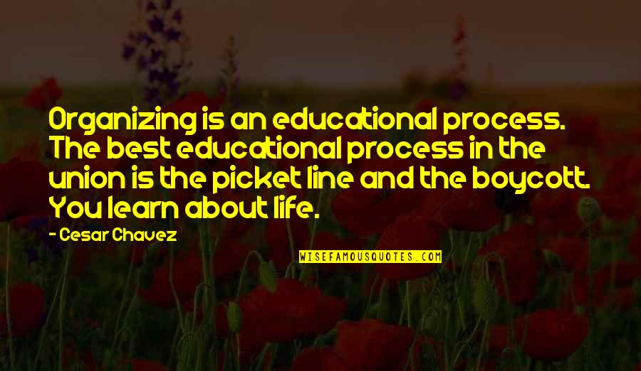 Picket Line Quotes By Cesar Chavez: Organizing is an educational process. The best educational