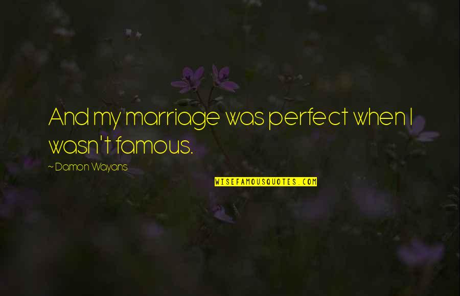 Picking Someone Up Quotes By Damon Wayans: And my marriage was perfect when I wasn't