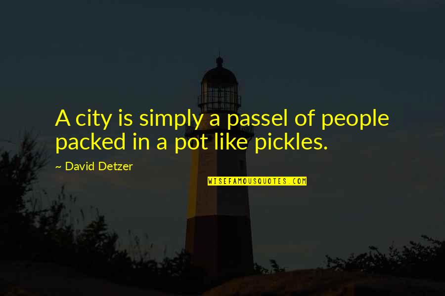 Pickles Quotes By David Detzer: A city is simply a passel of people