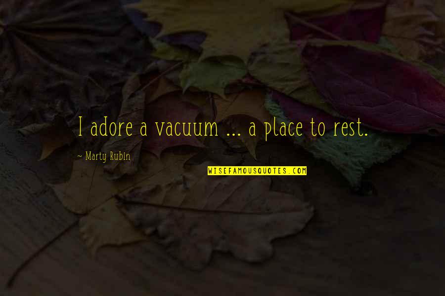 Picky Friends Quotes By Marty Rubin: I adore a vacuum ... a place to