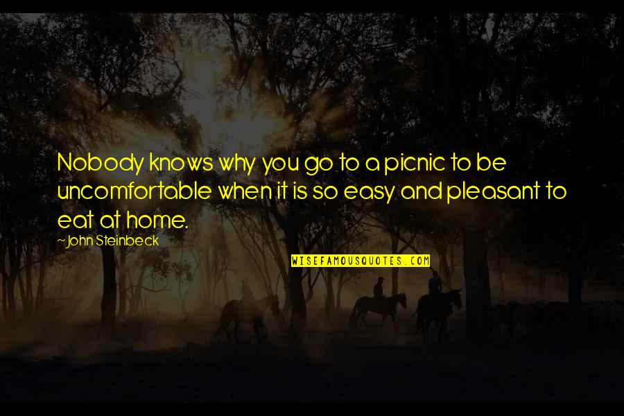 Picnic Quotes By John Steinbeck: Nobody knows why you go to a picnic