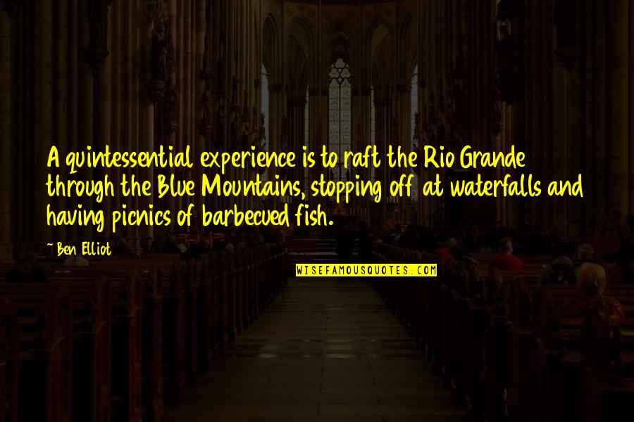 Picnics Quotes By Ben Elliot: A quintessential experience is to raft the Rio