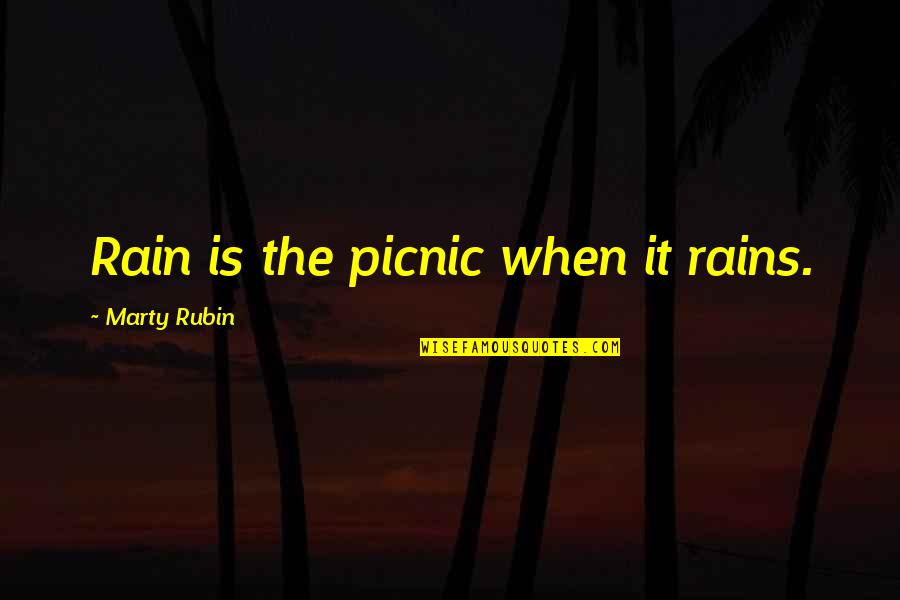 Picnics Quotes By Marty Rubin: Rain is the picnic when it rains.