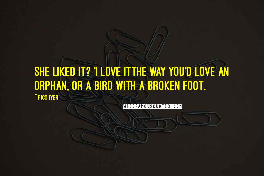 Pico Iyer quotes: She liked it? 'I love itthe way you'd love an orphan, or a bird with a broken foot.