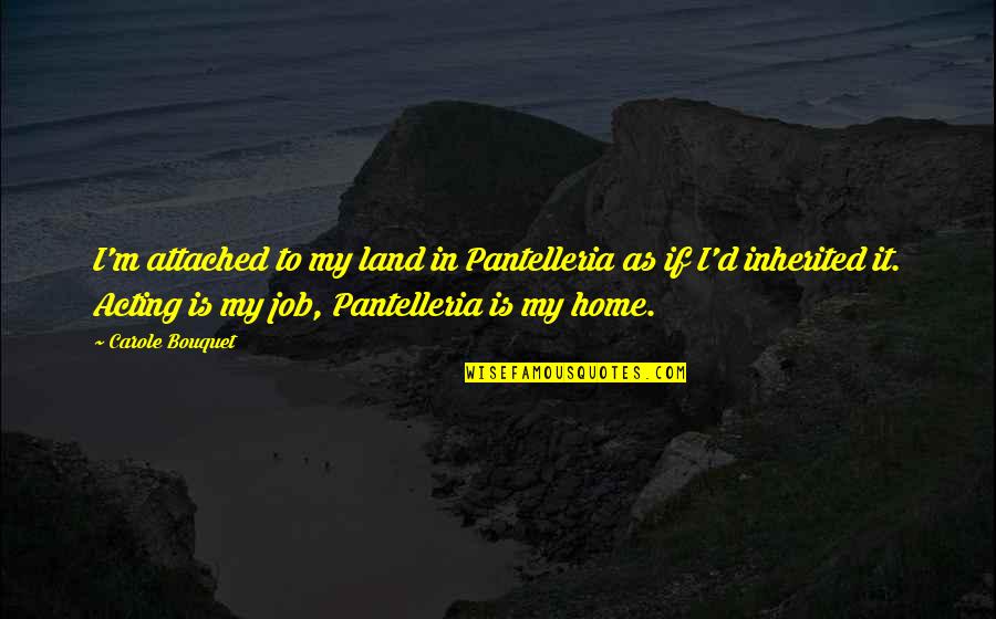Piconi Marchigiani Quotes By Carole Bouquet: I'm attached to my land in Pantelleria as Piconi Marchigiani Quotes By Carole Bouquet: I'm attached to my land in Pantelleria as