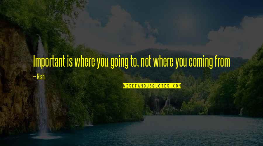Picosas Quotes By Rishi: Important is where you going to, not where