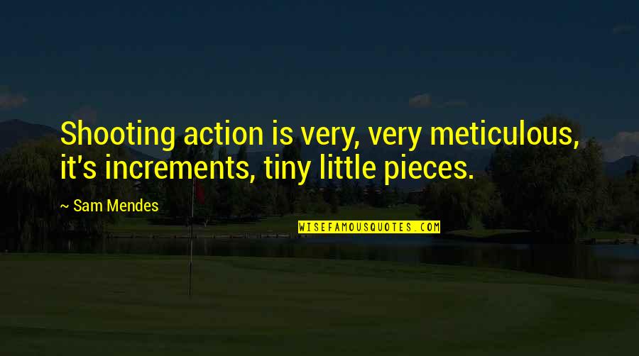 Picture Assumptions Quotes By Sam Mendes: Shooting action is very, very meticulous, it's increments,