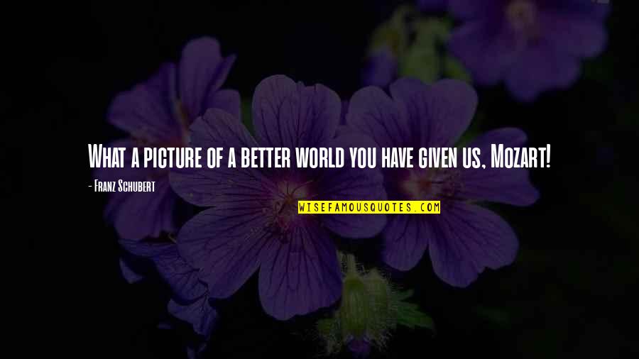 Picture Of Us Quotes By Franz Schubert: What a picture of a better world you